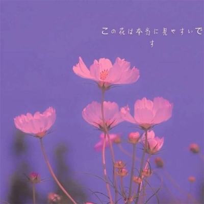 魔法闪耀手游